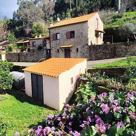 Quinta Da Costeira Βίλα Sever do Vouga Εξωτερικό φωτογραφία