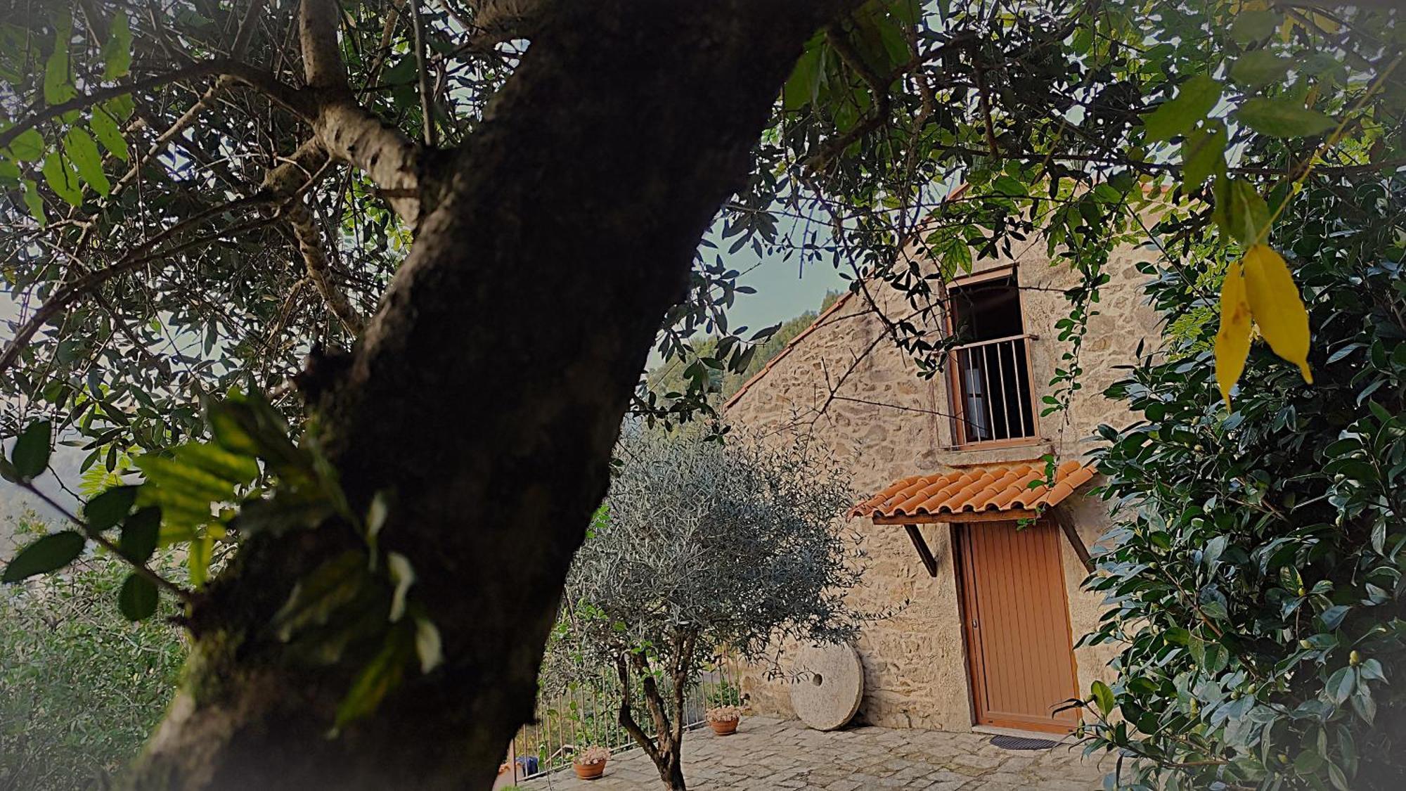 Quinta Da Costeira Βίλα Sever do Vouga Εξωτερικό φωτογραφία