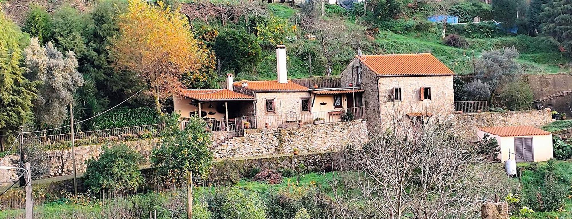 Quinta Da Costeira Βίλα Sever do Vouga Εξωτερικό φωτογραφία