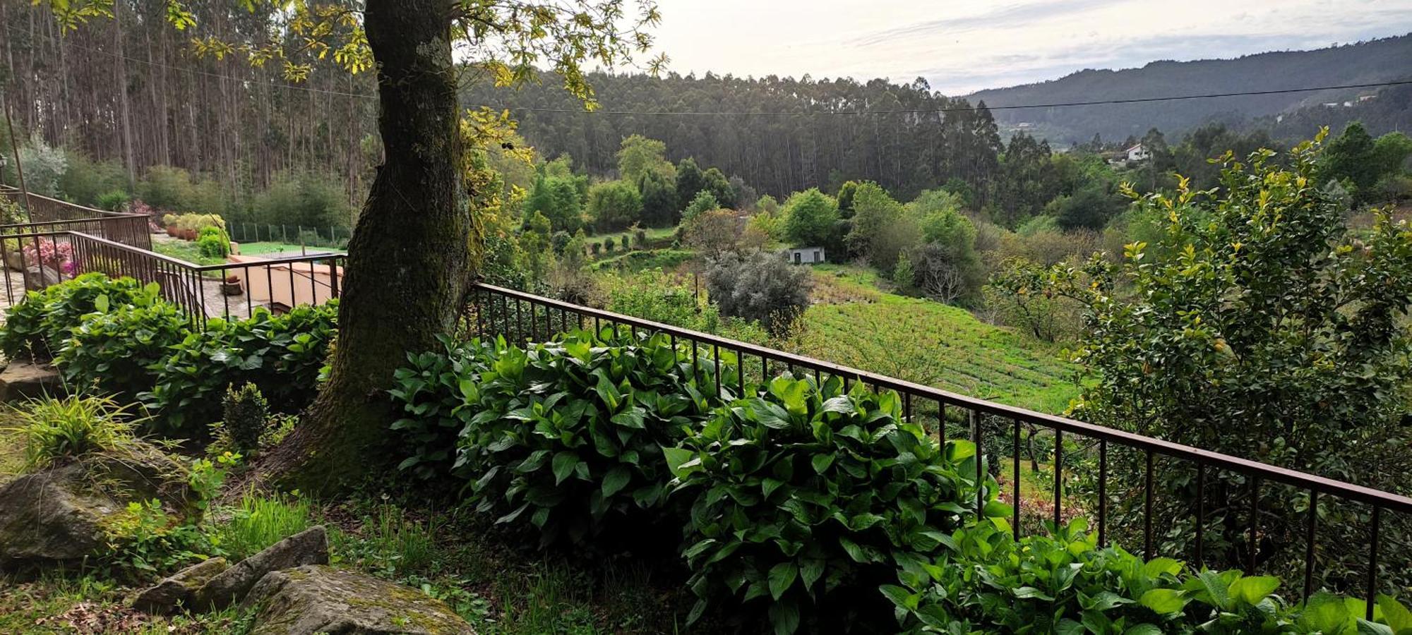 Quinta Da Costeira Βίλα Sever do Vouga Εξωτερικό φωτογραφία